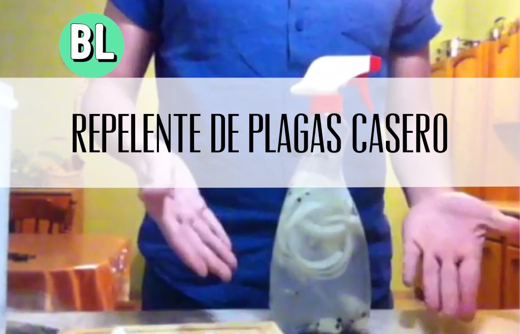 Repelente de plagas&nbsp;casero