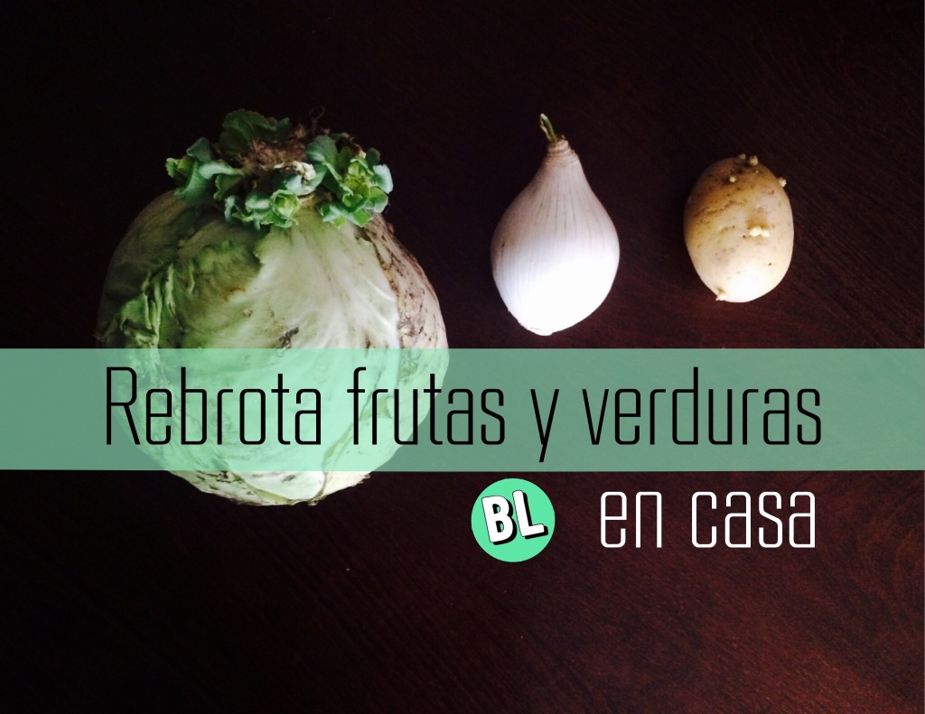 Rebrota frutas y verduras en casa