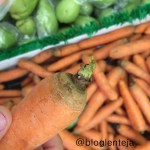 Foto 03-11-15 11 20 05 a.m.