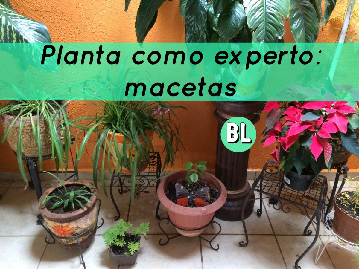 Planta como un experto:&nbsp;macetas