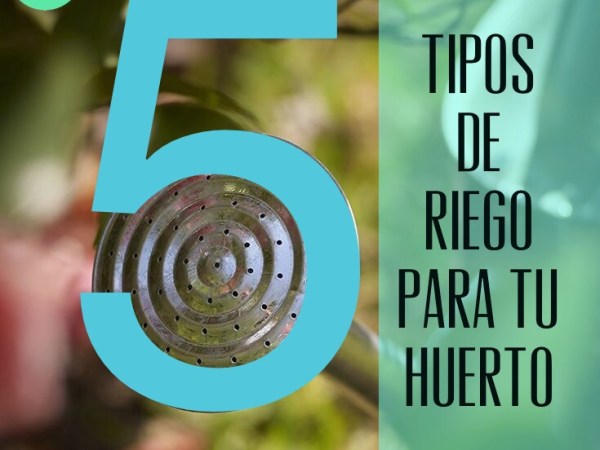 5 tipos de riego en el&nbsp;huerto