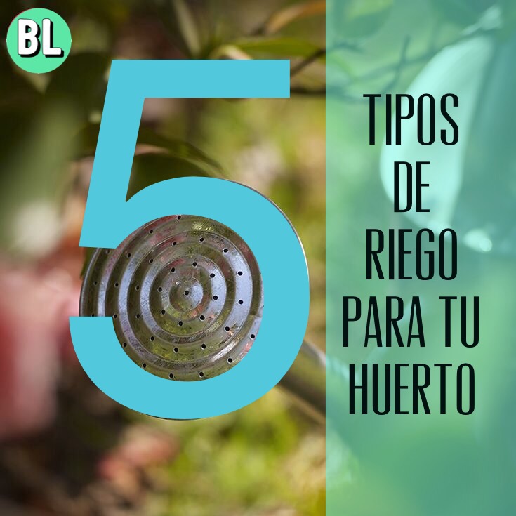 5 tipos de riego en el&nbsp;huerto