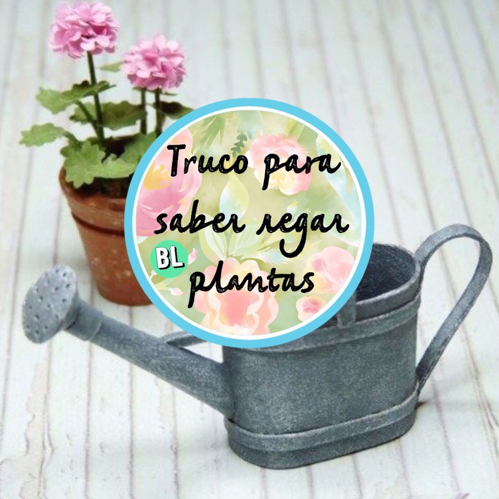 Truco para saber regar&nbsp;plantas