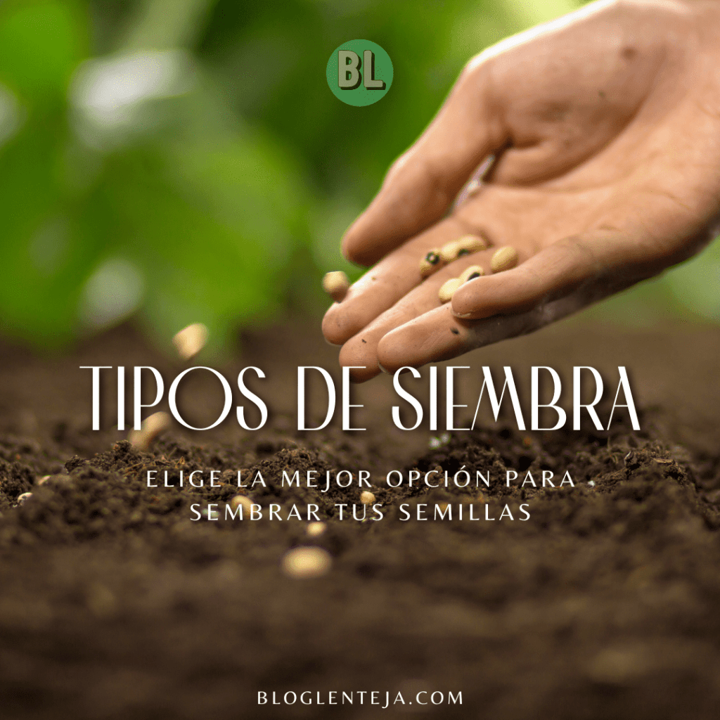 Tipos de siembra