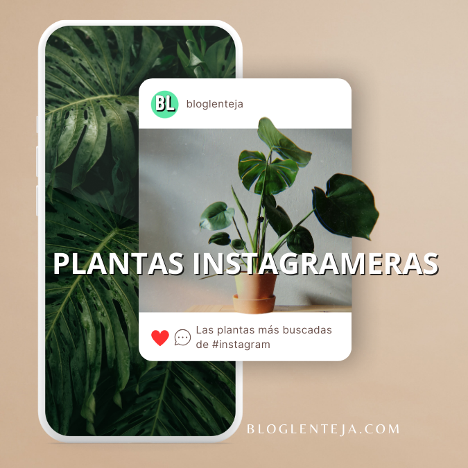 Plantas Instagrameras