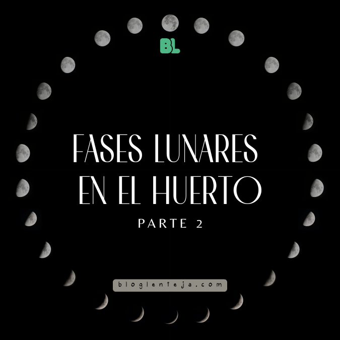 Fases lunares en el huerto –&nbsp;2