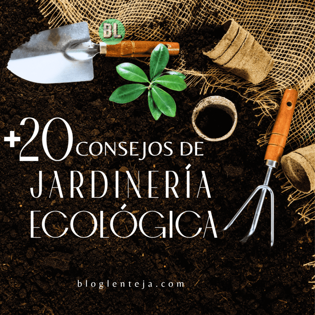 + 20 Consejos de Jardinería Ecológica