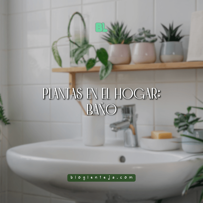 Plantas en el hogar:&nbsp;Baño
