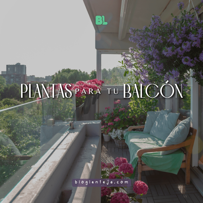 Plantas para tu&nbsp;balcón