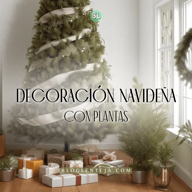 Decoración Navideña con&nbsp;Plantas