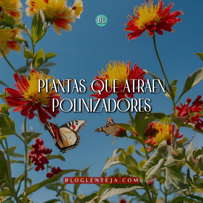 Plantas que atraen Polinizadores – BlogLenteja