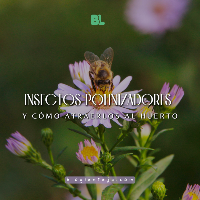 Insectos polinizadores y cómo atraerlos al huerto – BlogLenteja