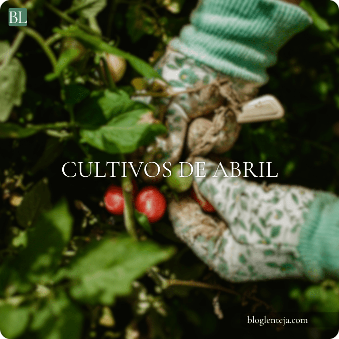 Variedad de cultivos de primavera creciendo en huerto urbano durante el mes de abril con plantas verdes y saludables