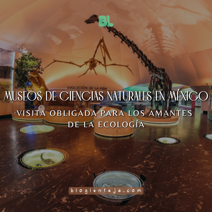 Museos de ciencias naturales en México: visita obligada para los amantes de la&nbsp;ecología