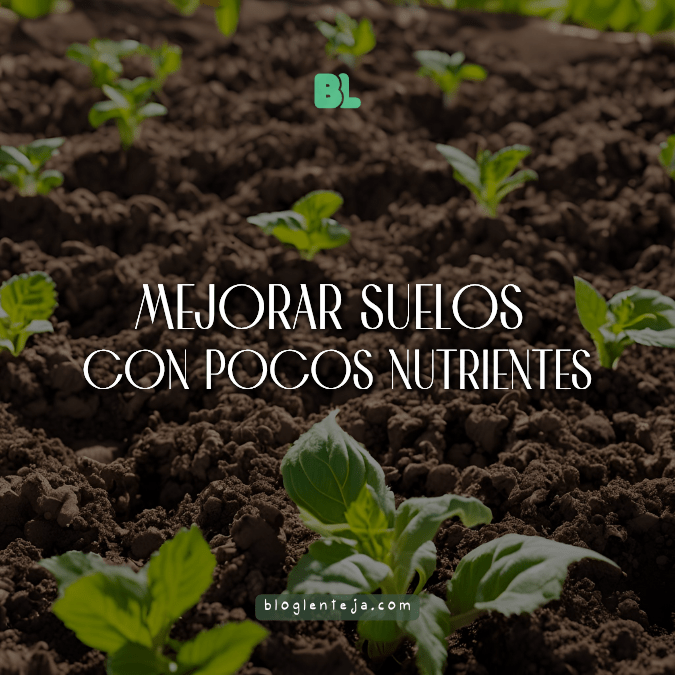 Mejorar suelos con pocos nutrientes