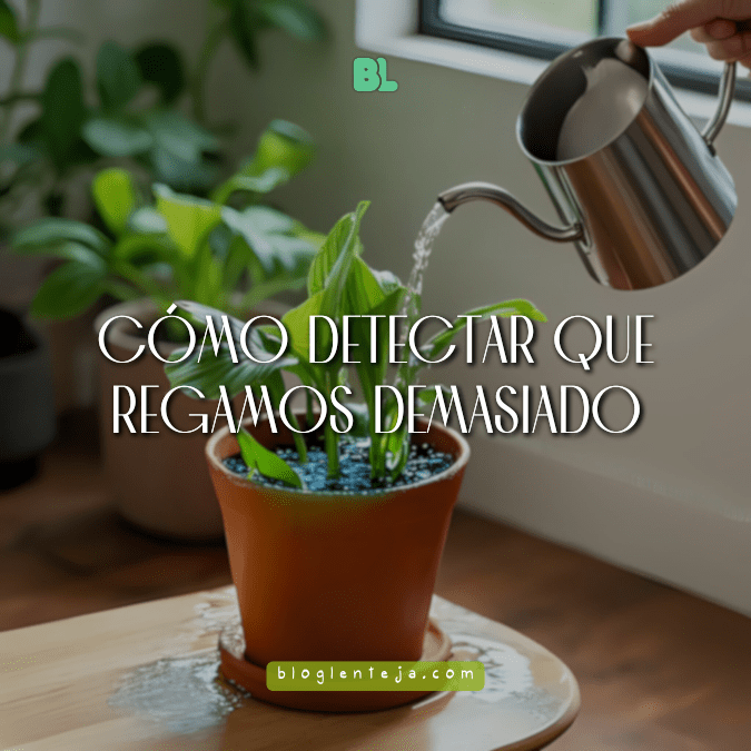 Cómo detectar que regamos demasiado