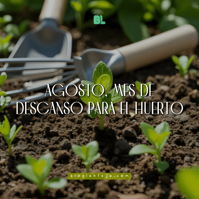 Agosto, mes de descanso para el&nbsp;huerto