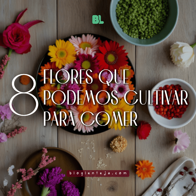 8 Flores que podemos cultivar para&nbsp;comer