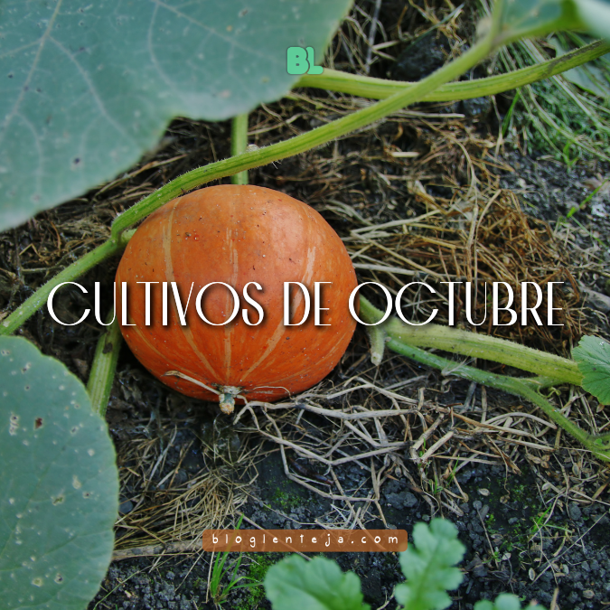 Cultivos de octubre