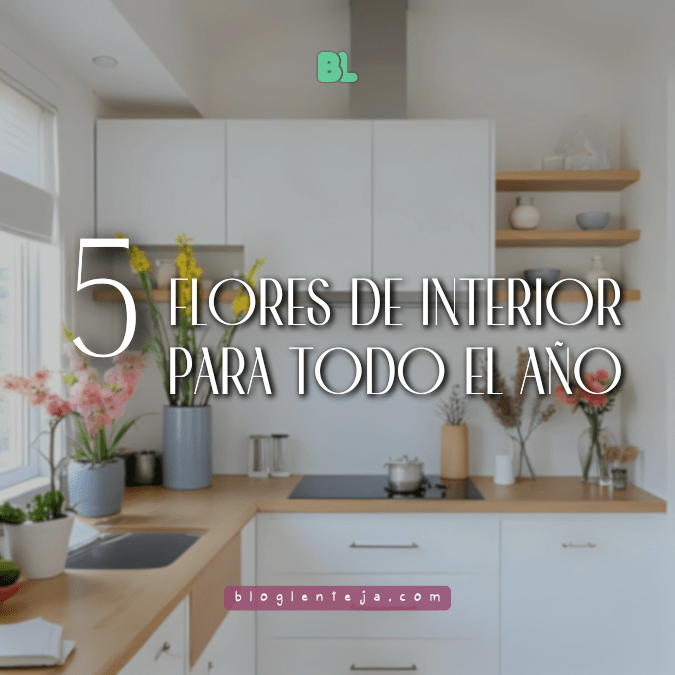 5 Flores de Interior para todo el&nbsp;año
