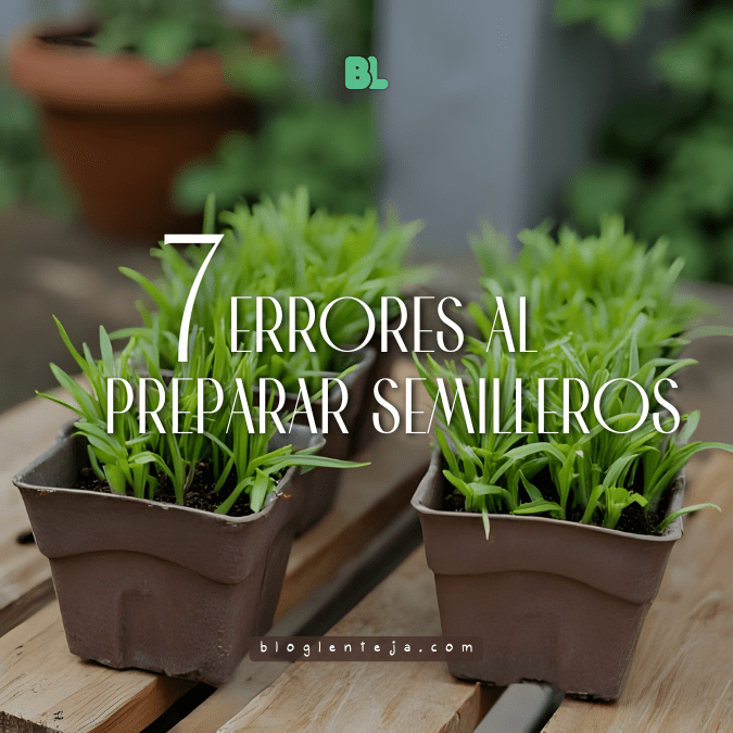 7 Errores al preparar&nbsp;semilleros