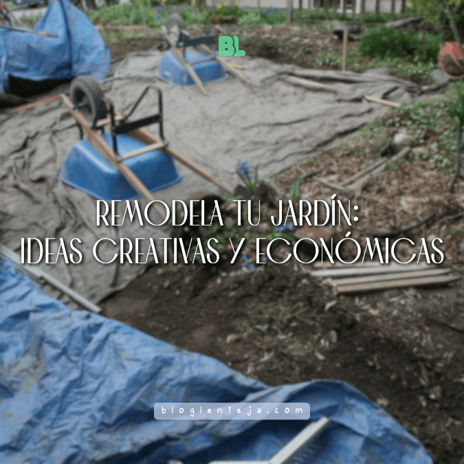 Remodela tu jardín: ideas creativas y&nbsp;económicas