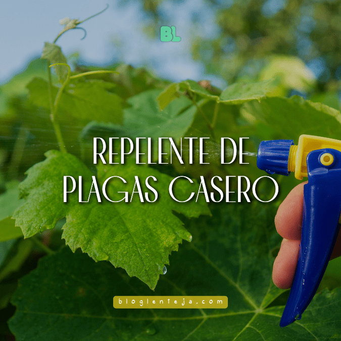 Repelente de plagas casero