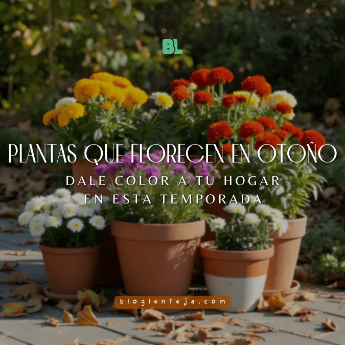 Flores otoñales resistentes como cempasúchil, crisantemo y pensamiento en maceta, ideales para climas frescos.