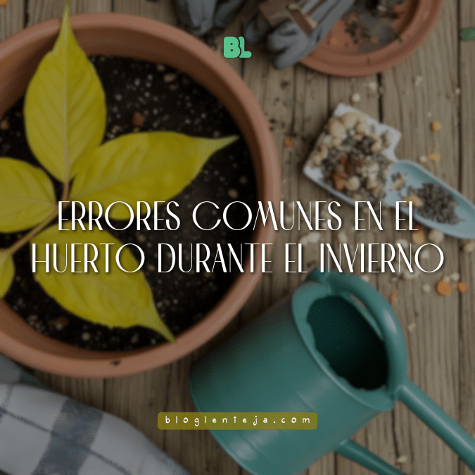 Macetas con plantas de invierno recibiendo luz suave y cuidados adecuados.