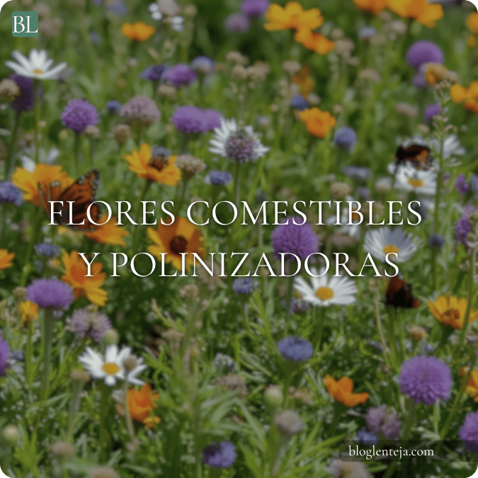 Flores comestibles y&nbsp;polinizadoras