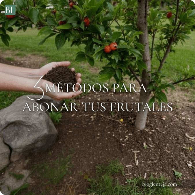 3 métodos para abonar tus&nbsp;frutales