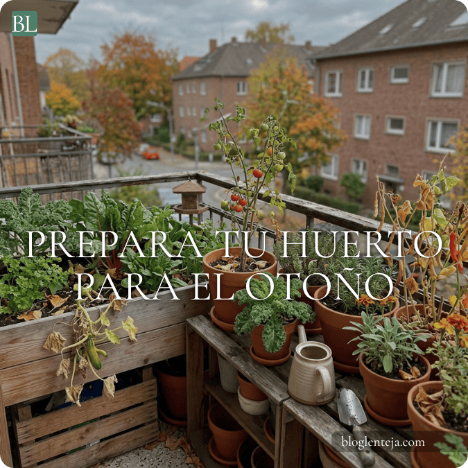 Prepara tu huerto para el&nbsp;otoño