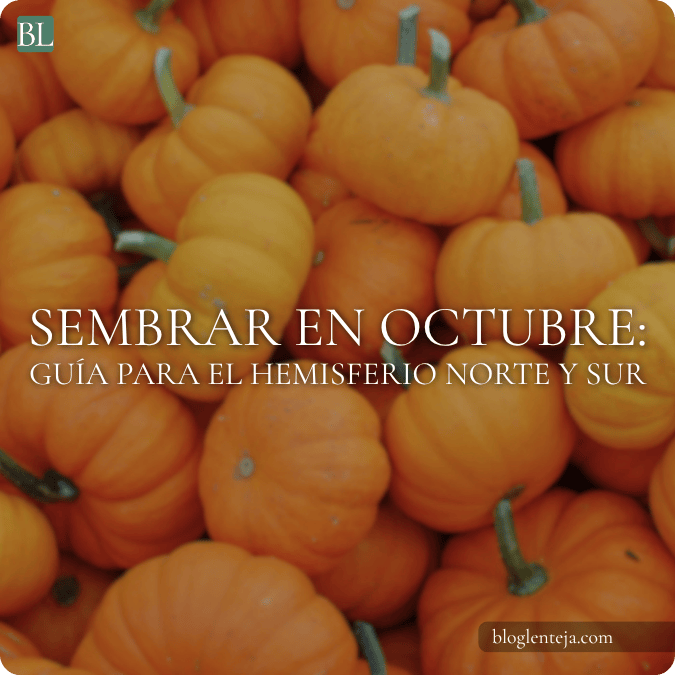 Cultivos para sembrar en octubre en el hemisferio norte y sur, organizados en un huerto urbano con macetas.