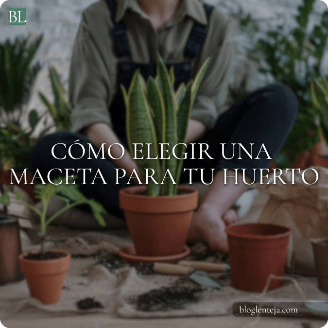 Tres macetas de distintos tamaños junto a una cinta métrica y una planta de lechuga.