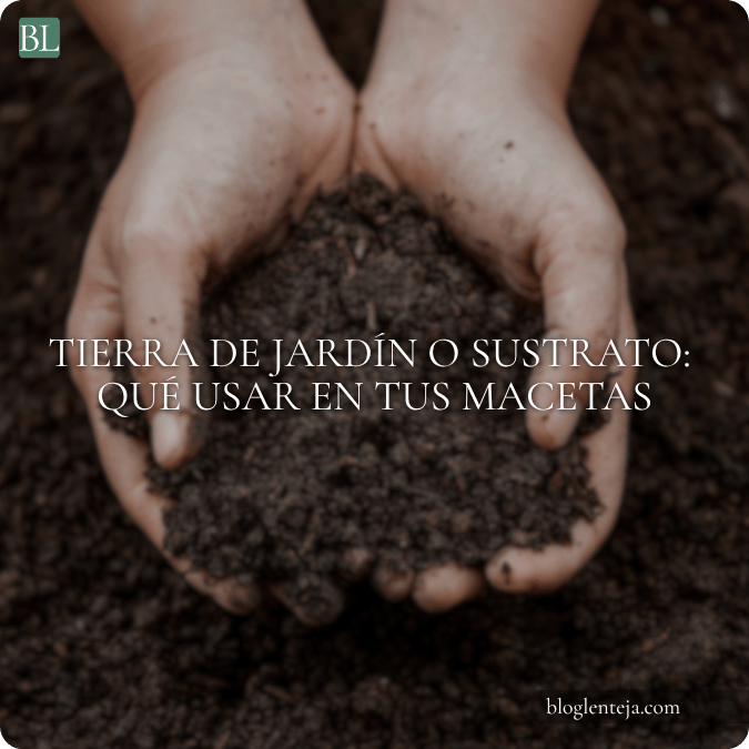 Maceta vacía junto a una pala y dos recipientes con tierra y mezcla para macetas.